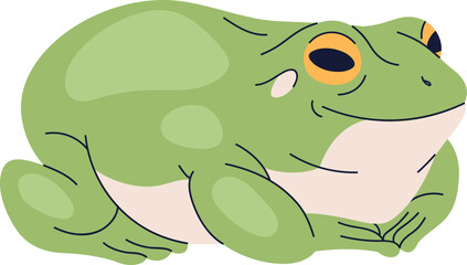 Cute Wild Frog Colored Realistic Illustration
