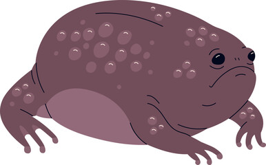 Funny Cute Exotic Frog or Toad Realistic Colored Illustration