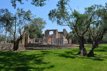 Fototapeta na wymiar The ruins of Villa Adriana, Tivoli Italy 