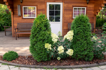 Garden house, conifers and hydrangeas in a landscape park. Landscaping.