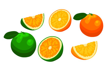 set of citrus fruit
