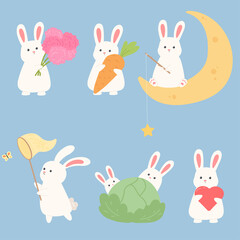 Rabbit set