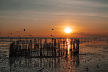 Fototapeta premium sunset on the beach