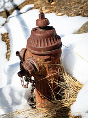 Rusted antique fire hydrant in winter with snow and grasses