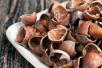 hazelnuts peeled from the shell