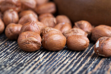 hazelnuts peeled from the shell