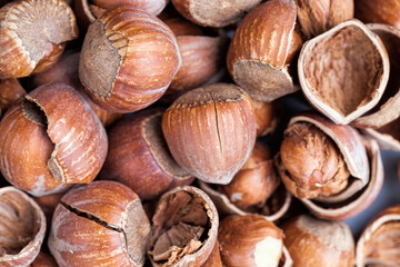 hazelnuts peeled from the shell