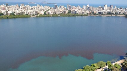 Red algae phytoplankton red tide phenomenon in Lagoa Rodrigo de Freitas, Rio de Janeiro, Brazil