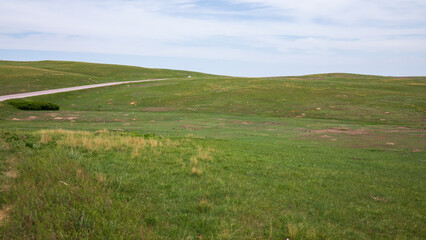 Fototapeta na wymiar Wind Cave National Park prairie grassland landscape.