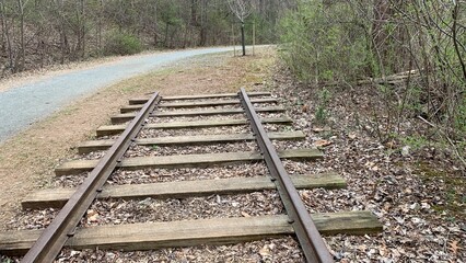 railroad tracks in the forest