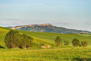 Fototapeta na wymiar Unique green landscape in Volterra Valley, Tuscany, Italy. Scenic dramatic sky and sunset light over cultivated hill range and cereal crop fields. Toscana, Italia.
