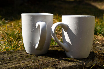 Obraz premium White cup on the grass