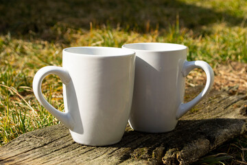 White cup on the grass