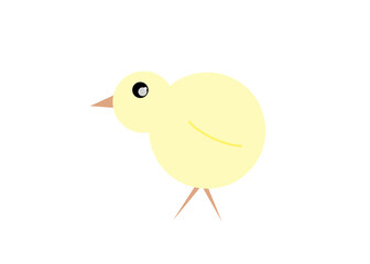 Sweet childish yellow chick on white background