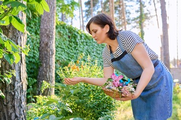 Woman in apron tending backyard flower beds rejoicing at blooming lily plant
