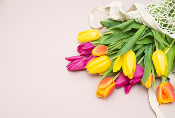 bouquet of colored tulips in a mesh bag on a beige background. Horizontal frame. Top view. post card.