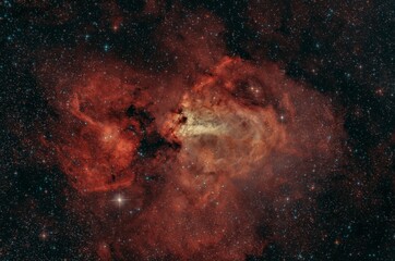 Astrophotography © Nelson