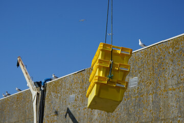 Travaux de levage .