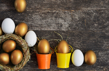 golden color egg concept of enrichment and wealth	
