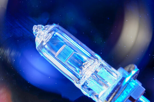 Lightbulb, halogen, incandescent lamp are reserve lamps for motor vehicles in 12 volt operation photographed in the studio - Powered by Adobe