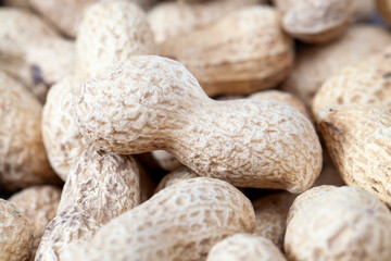 group of peanuts ready for eating
