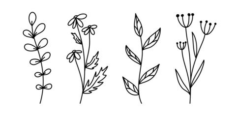 Set of botanical line art floral leaves, plants. Hand drawn sketch branches isolated on white background. Vector illustration
