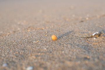 close up of a sand