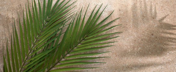 Palm Sunday background with green tropical tree leaves on stone