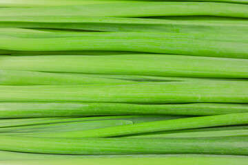 Background image: Fresh green onion leaves of the new crop. Raw food. Diet food.