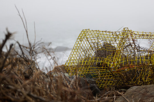 Broken Crab Cage On The New Hampshire Coast