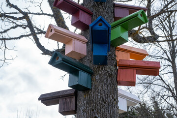 Multicolored Birdhouses.Colored nesting box. Colorful Bird Houses. Houses for birds on a tree.
