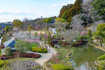 梅満開の偕楽園