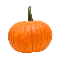 Big yellow pumpkin on a white background.