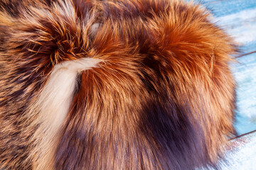 Natural fur of a red fox as texture
