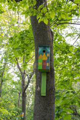 The funny painted birdhouses on the tree. Handmade wooden nesting box.
