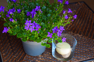 Bouquet of blue spring flowers and a candle on the table