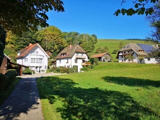 Fototapeta na wymiar Schwarzwald Häuser bei Stegen