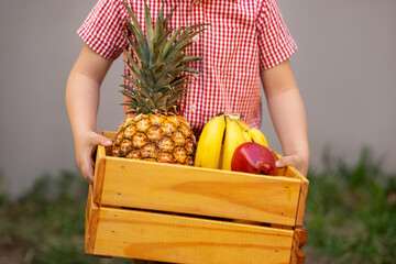 Niños cargando canasta de madera con rica y deliciosa fruta tropical hawaiana para disfrutar el verano y una rica comida - obrazy, fototapety, plakaty
