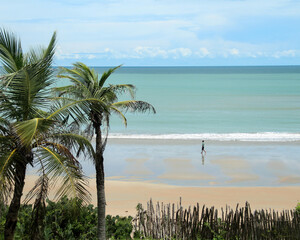 Man walking on the beach with palm tree in Luis Correia, Piaui