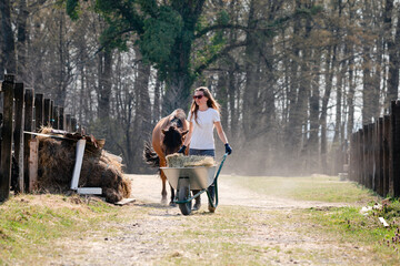 Beautiful young woman walks down the road with a horse and wheelbarrow on a ranch, transporting...