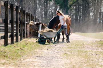Beautiful young woman with a horse and wheelbarrow working on a ranch, transporting hay - food for...