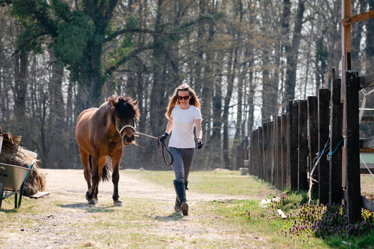 Young And Beautiful Woman Walking Down The Road With A Horse In Sunny Spring Day On A Ranch, Moving Together Toward Camera