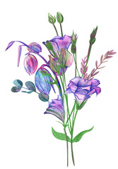 Bouquet of flowers and buds of purple eustoma and eucalyptus painted with watercolor and pencil for girlish design isolated on a white background