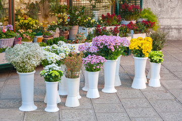Street flower shop