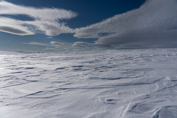 Winter landscape