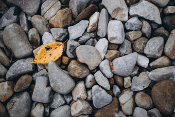 pebbles wallpaper with gray pattern, natural background gray stone
