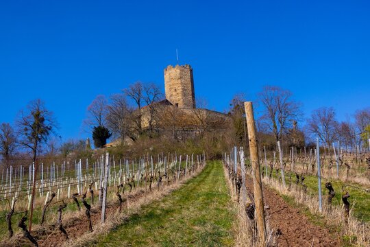 The Castle Steinsberg near Sinsheim, Kraichgau Region, Baden-Württemberg, Germany,