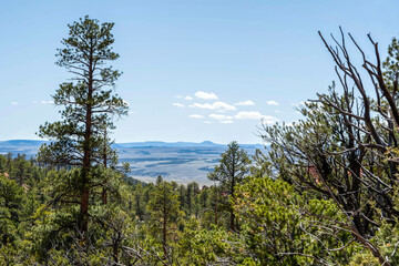 Fototapeta na wymiar An overlooking view of nature in Dixie National Forest, Utah