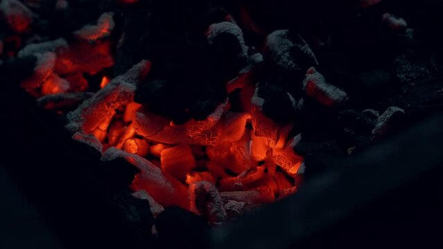 Spicy Chicken Wings Being Grilled Over Bright Glowing Coals of Night Time Broasting On Fire. Night Party Barbecue. Outdoor Cooking. Cook Prepares Oriental Dish In Kitchen. Junk Food, Healthy Lifestyle