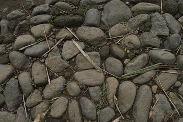 Beautiful views of rice fields with nature and mountains in Mojokerto